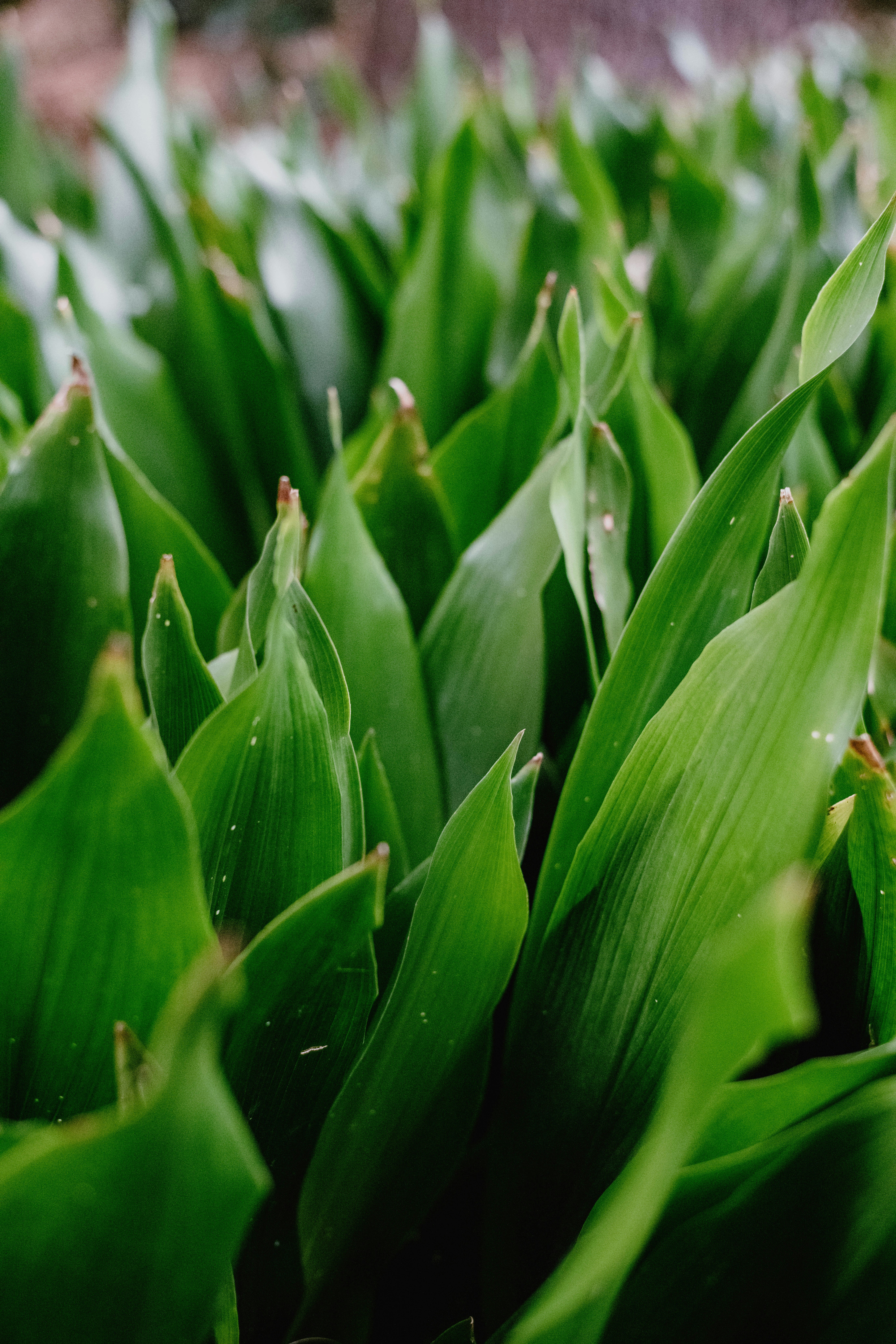 Photo by jamillatrach