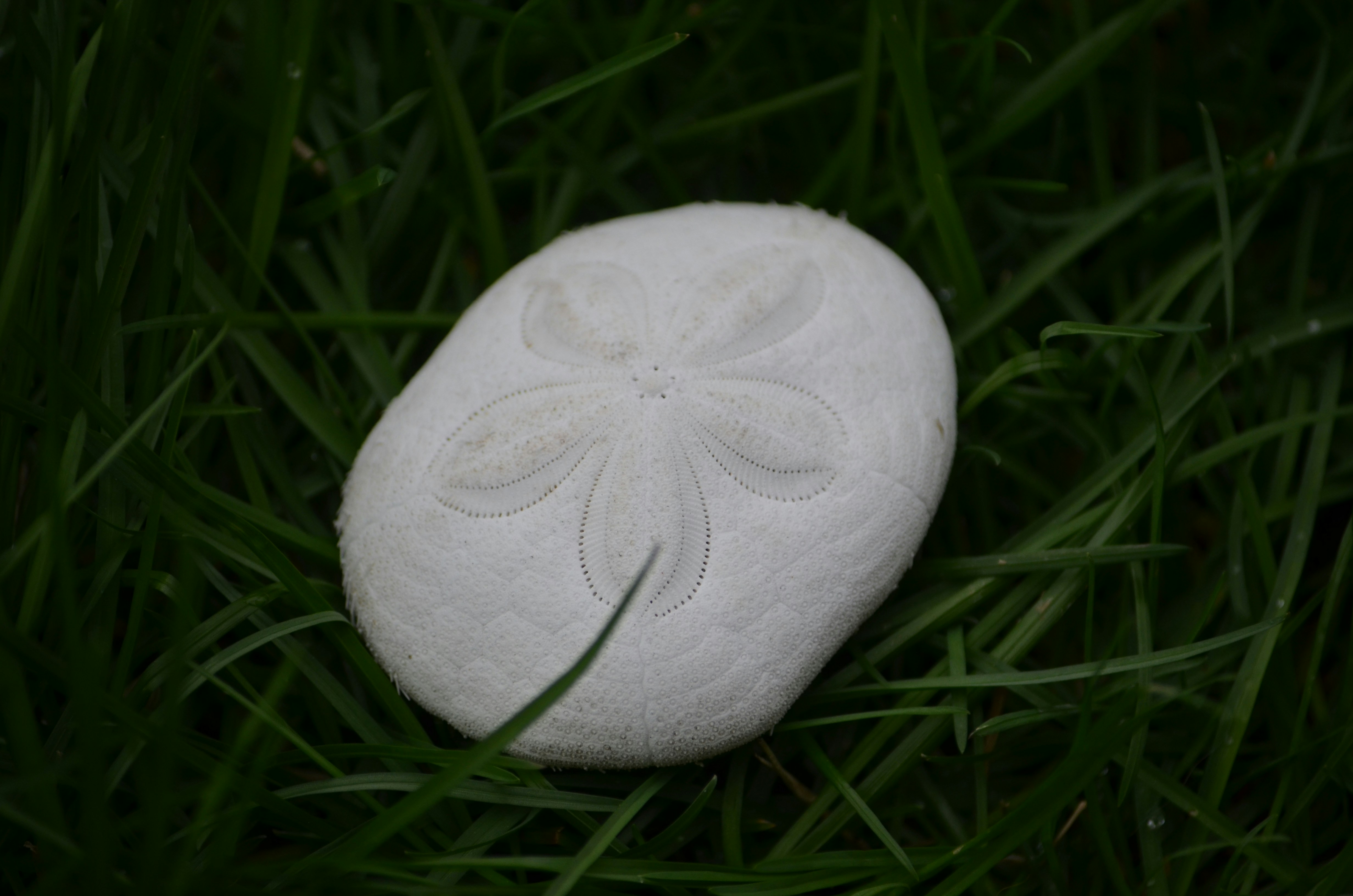 Palette de Kits de maquillage