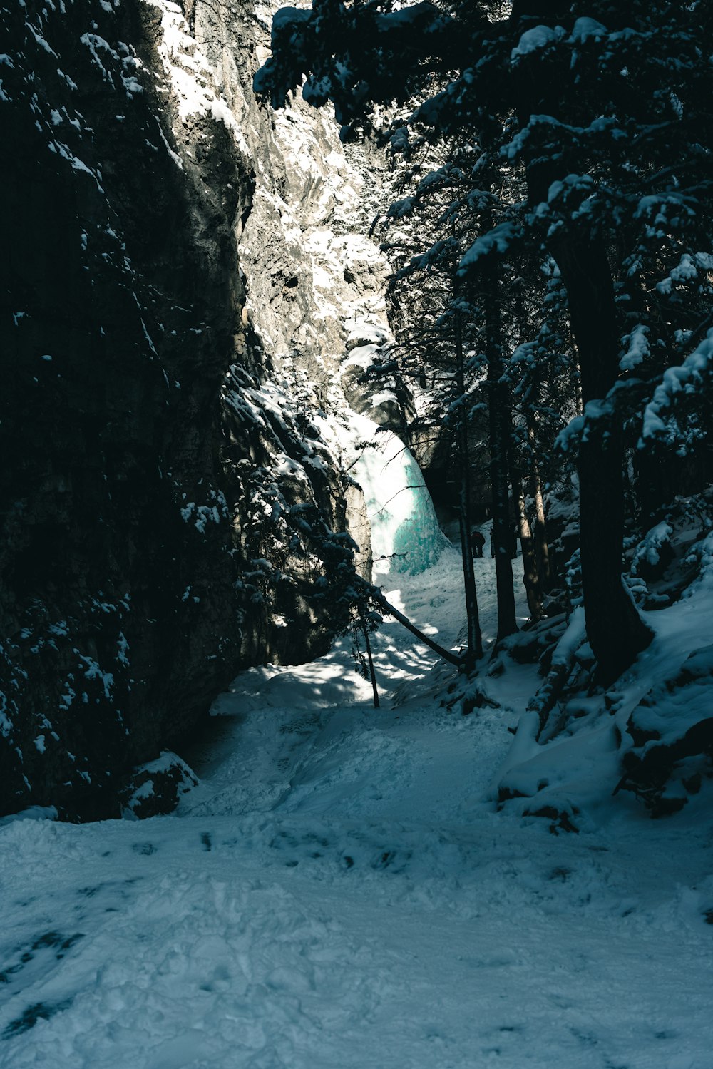 a snow covered path in the middle of a forest