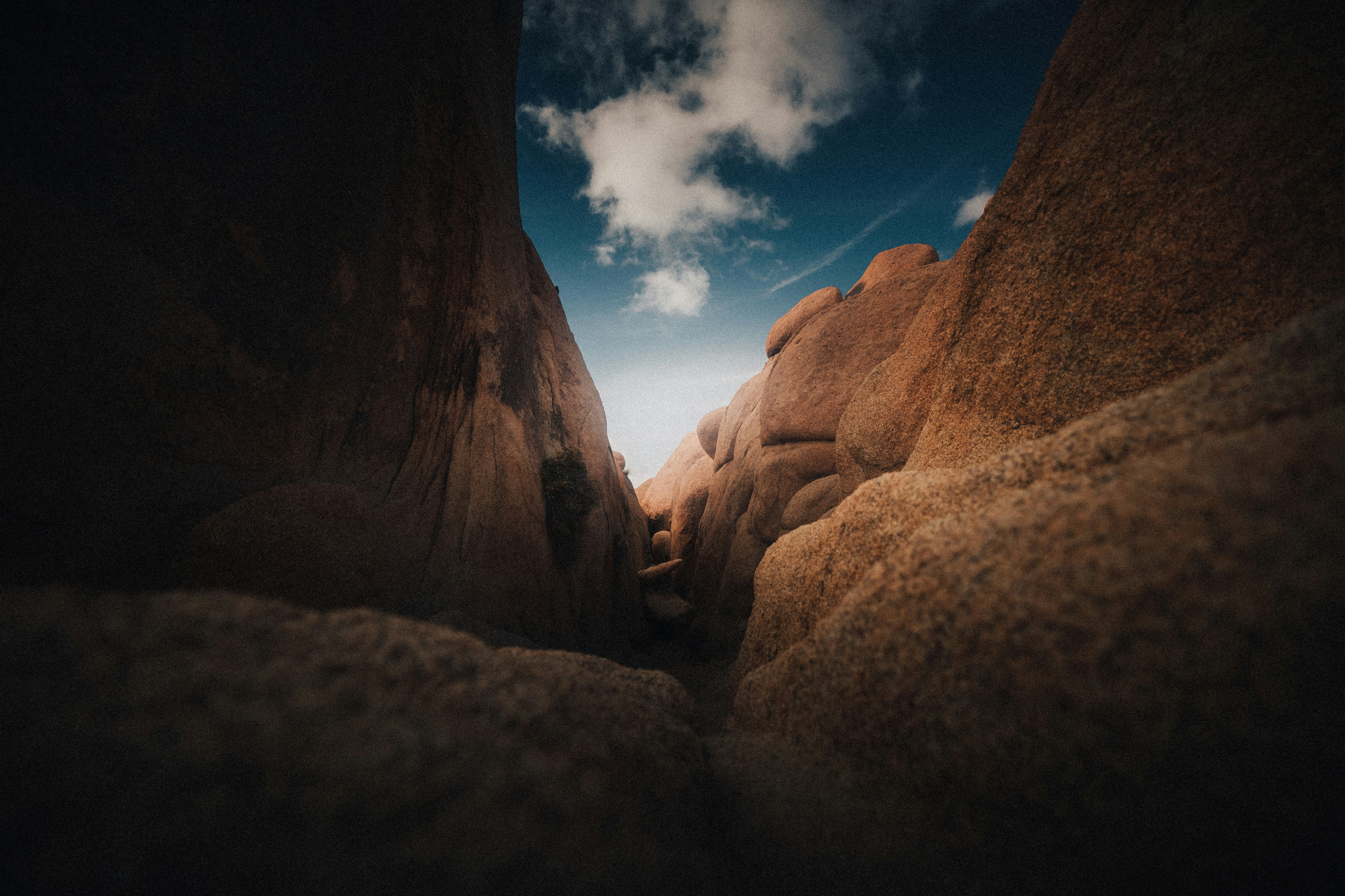 Sedona’s Red Rock State Park, USA - None