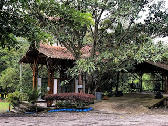 A rustic structure with a tiled roof is surrounded by lush greenery and large trees. The building has a wooden framework with large glass windows. A pathway leads to the entrance, accompanied by neatly trimmed bushes and potted plants. There is a covered area to the right with chairs, creating a cozy outdoor space.