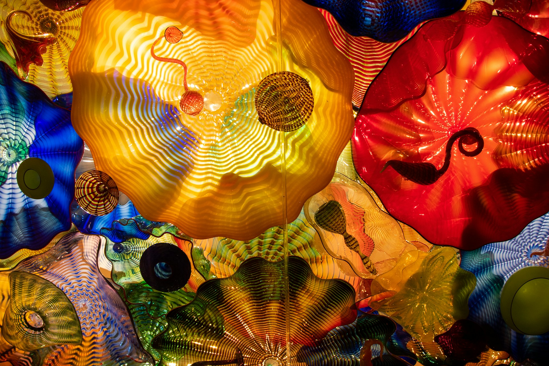 a bunch of different colored umbrellas hanging from a ceiling