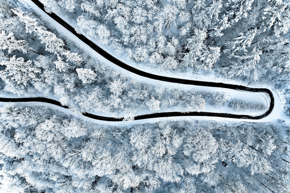 a winding road in the middle of a snowy forest