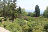 A lush garden landscape features various types of trees and shrubs, with tall evergreens and colorful flowering bushes. The ocean is visible in the background, creating a tranquil scene. Sunlight filters through the foliage, casting shadows on the ground.