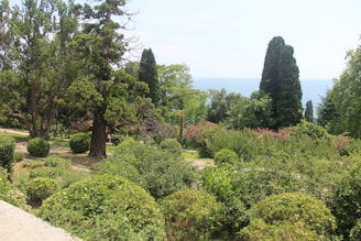 A lush garden landscape features various types of trees and shrubs, with tall evergreens and colorful flowering bushes. The ocean is visible in the background, creating a tranquil scene. Sunlight filters through the foliage, casting shadows on the ground.