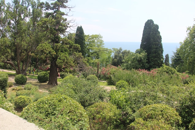 A lush garden landscape features various types of trees and shrubs, with tall evergreens and colorful flowering bushes. The ocean is visible in the background, creating a tranquil scene. Sunlight filters through the foliage, casting shadows on the ground.