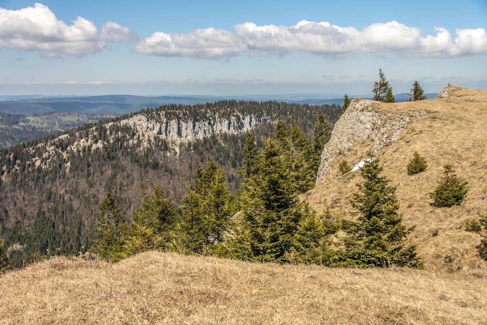 a view of the mountains from a high hill