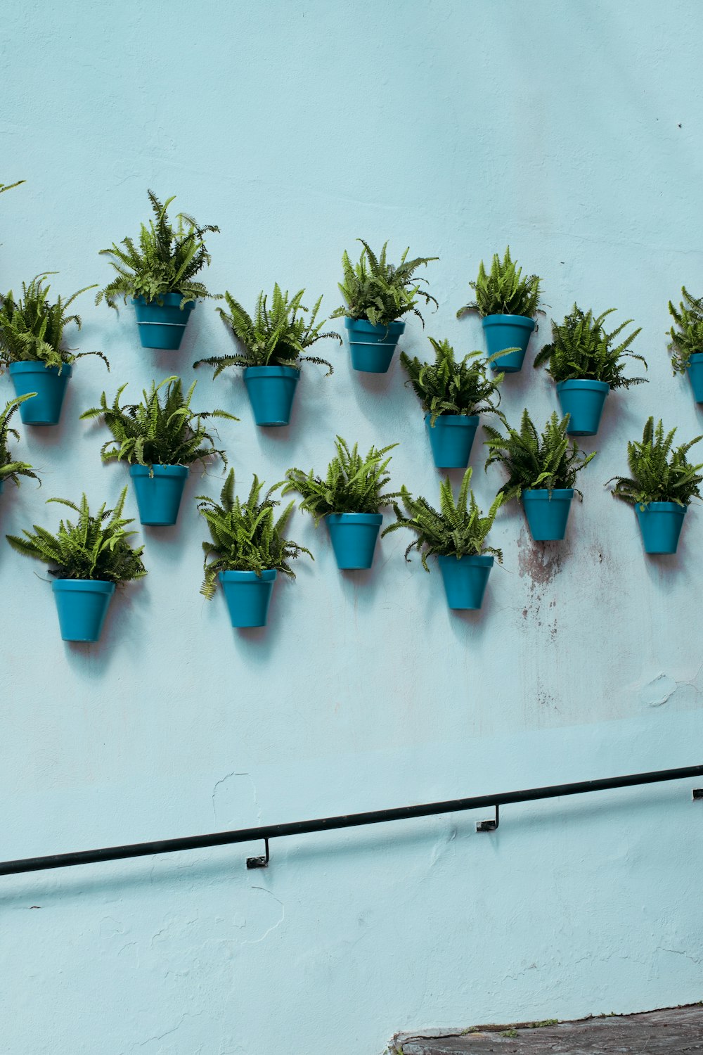 a bunch of potted plants on a wall