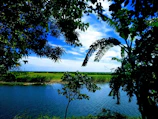 Lush green Paraguayan nature with a winding river and dense forest under a clear blue sky.