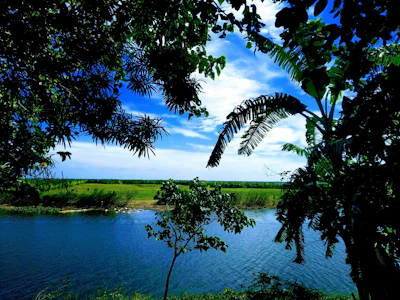 Lush green Paraguayan nature with a winding river and dense forest under a clear blue sky.