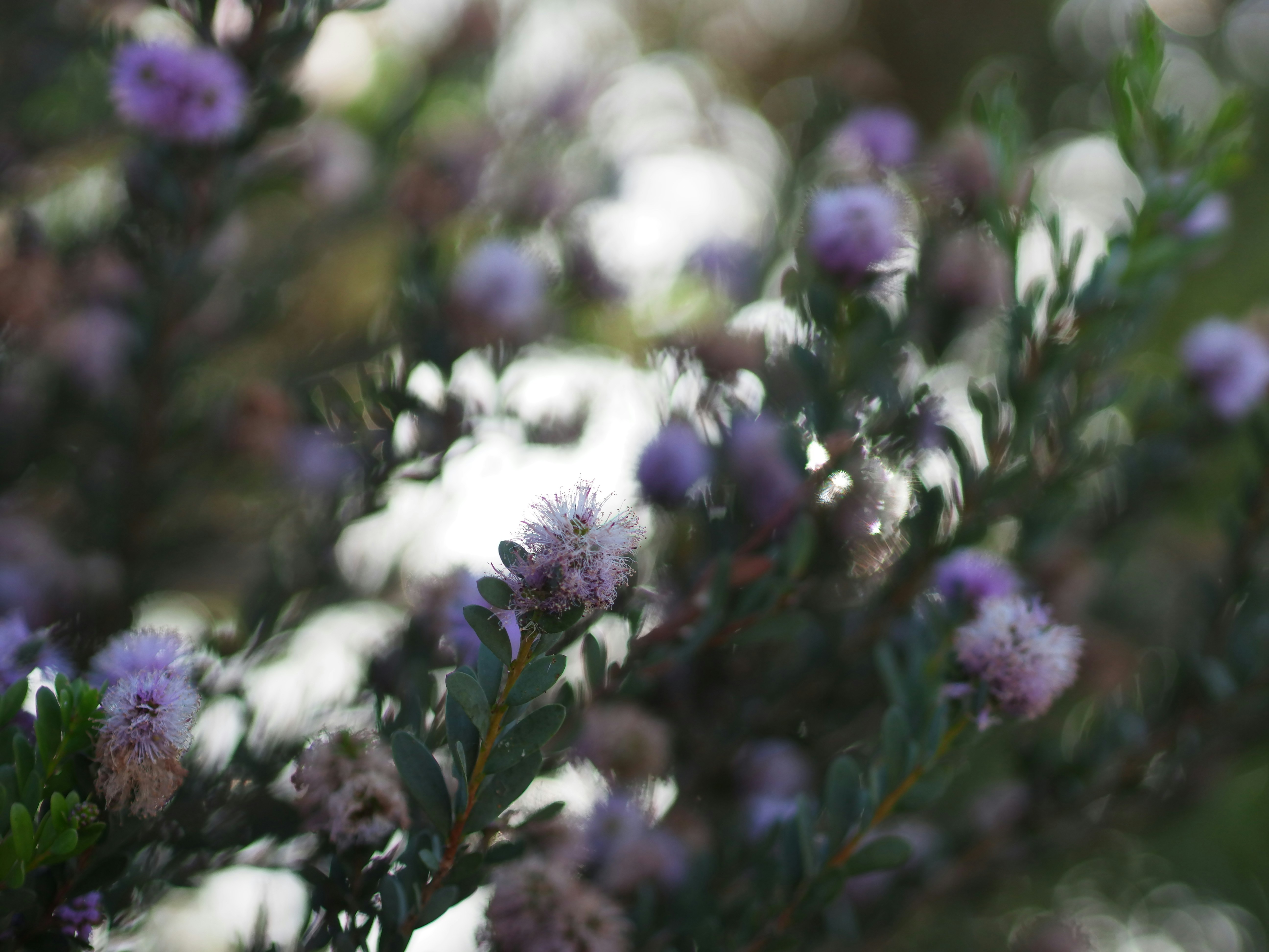 Photo by arnold_zhou