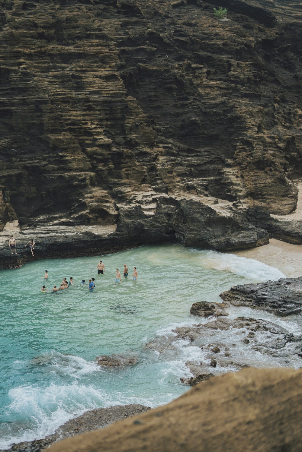 a group of people swimming in a body of water