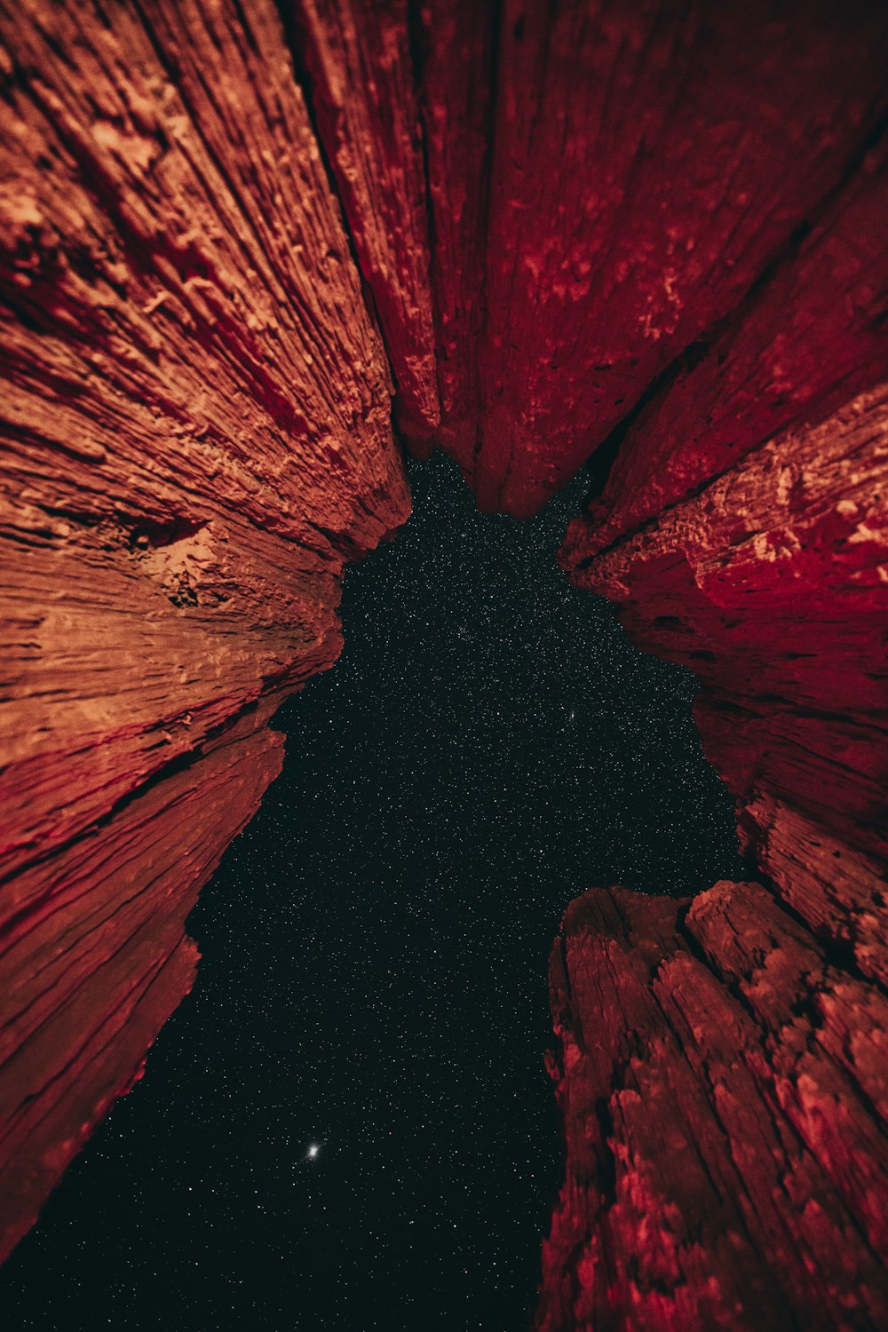 a view of the inside of a red umbrella