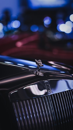 a close up of the hood ornament of a car