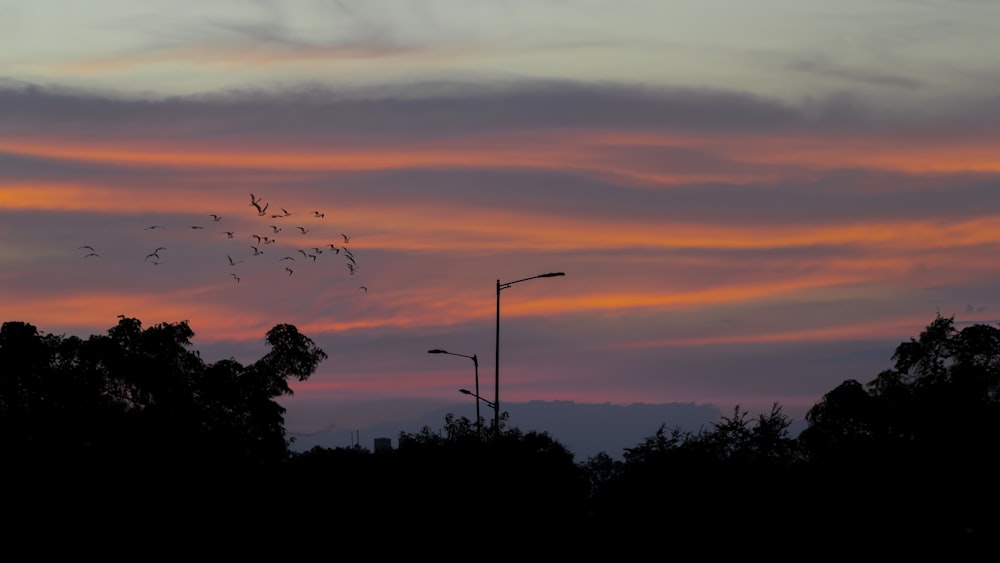 a flock of birds flying through a cloudy sky