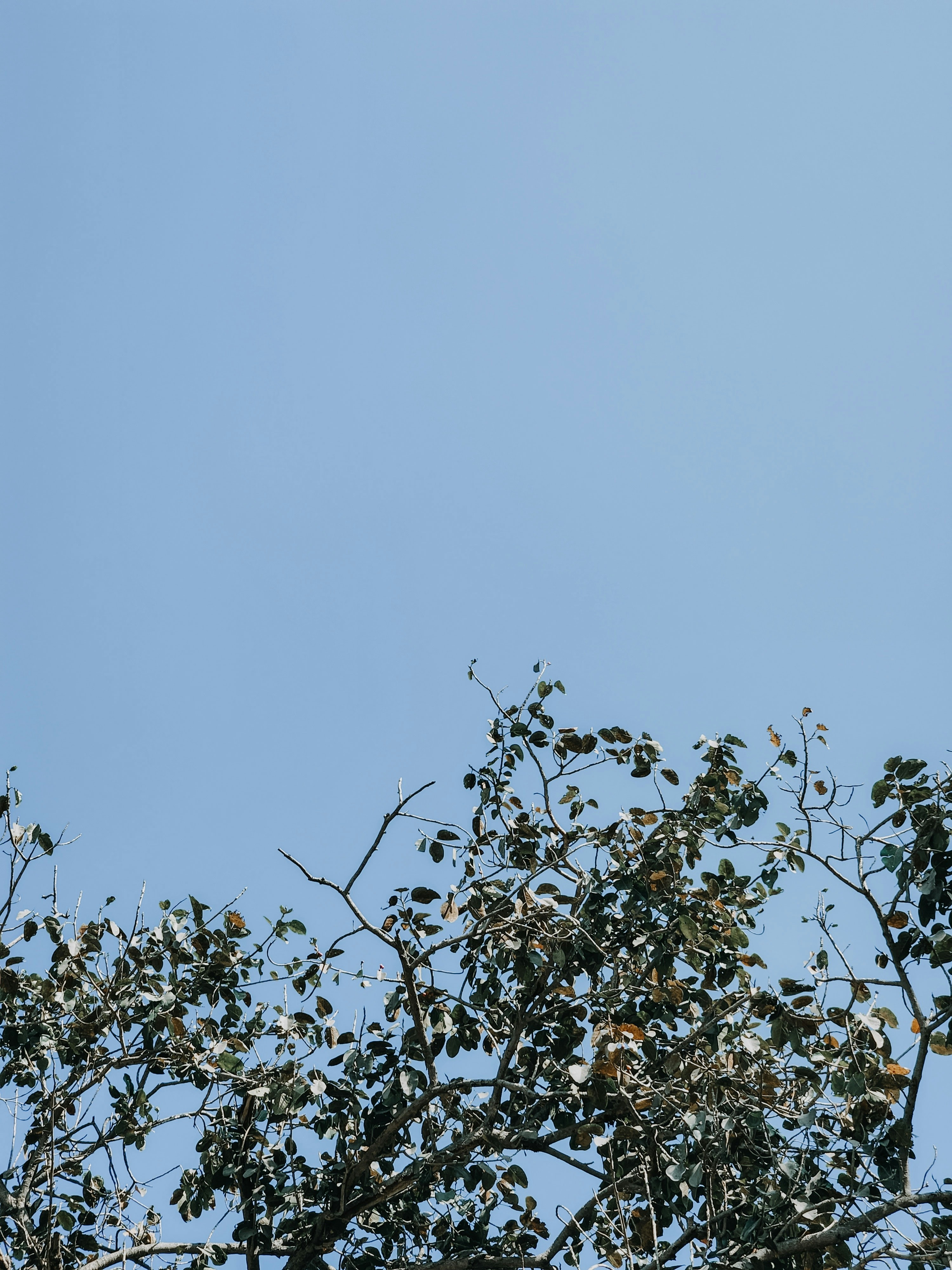 Photo by royphotography