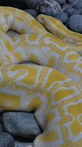 A large yellow and white python is coiled on a surface with several grey stones surrounding it. The snake's scales are clearly visible, showcasing a vibrant pattern.