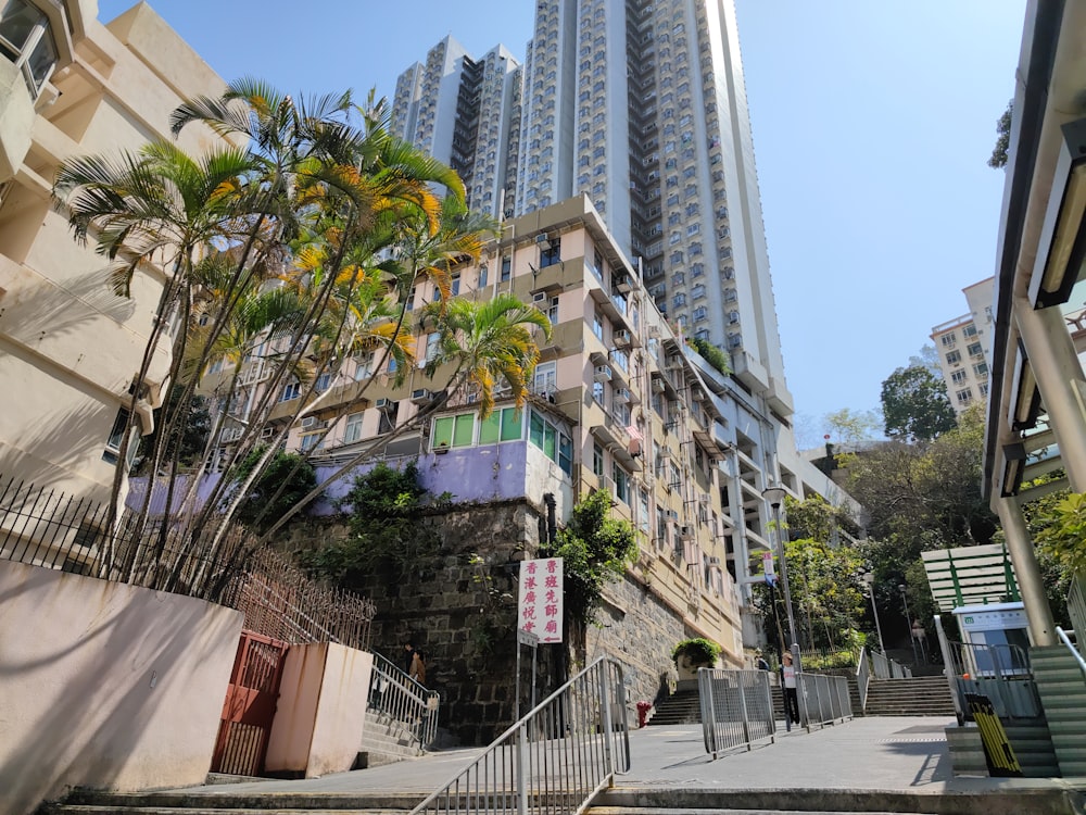 a very tall building sitting next to a bunch of palm trees