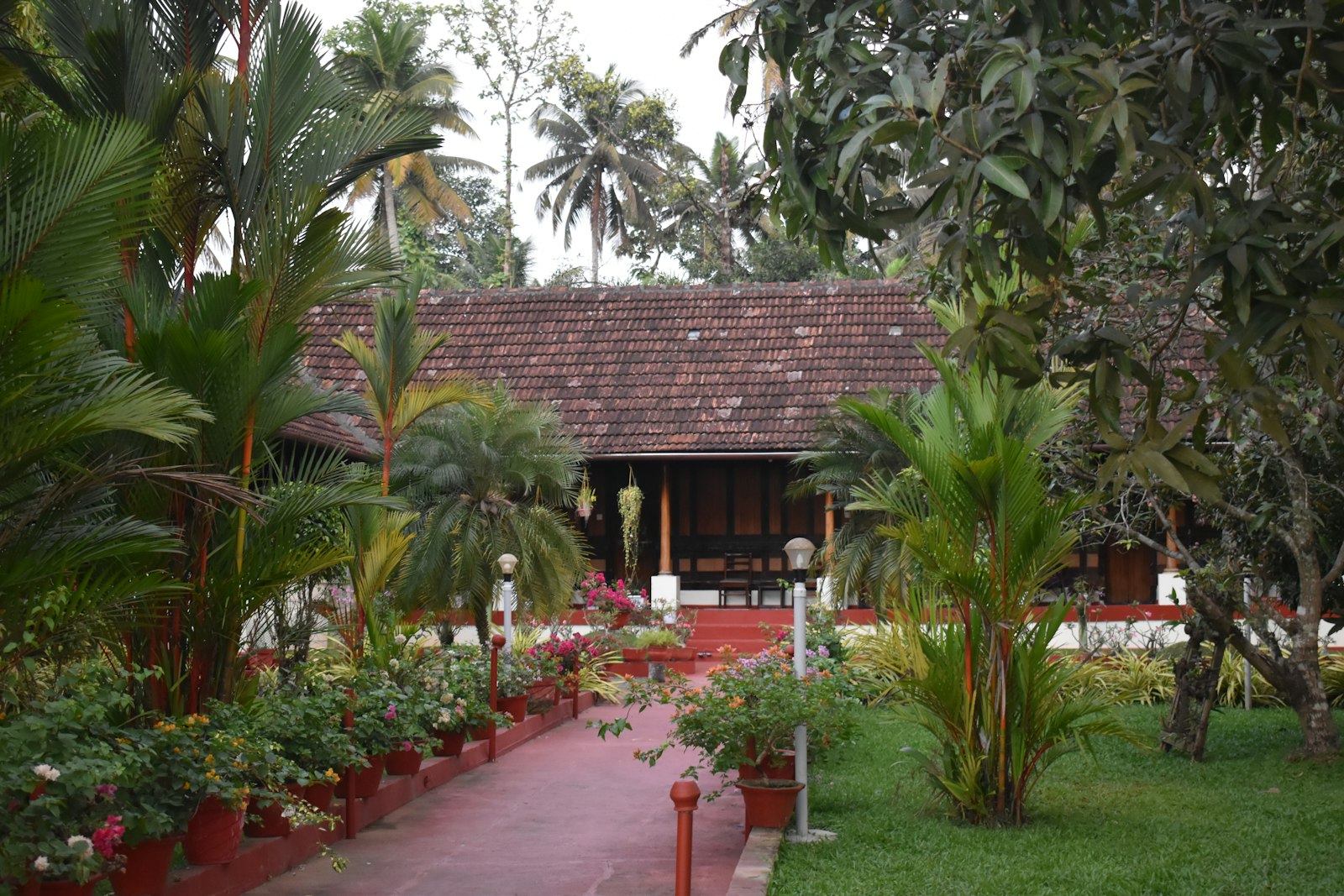 Wellness & Ayurveda