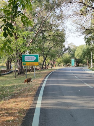 A scenic road lined with tall, leafy trees on a clear day. A green signboard reads 'WASTE PLASTICS', indicating that the road is made from recycled materials. A monkey is visible near the sign on the grassy area beside the road.