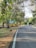 A scenic road lined with tall, leafy trees on a clear day. A green signboard reads 'WASTE PLASTICS', indicating that the road is made from recycled materials. A monkey is visible near the sign on the grassy area beside the road.