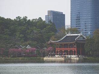 A traditional Asian pavilion with a black-tiled roof stands by the edge of a calm lake, surrounded by lush greenery and cherry blossom trees. In the background, modern high-rise buildings loom, contrasting with the serene natural setting.