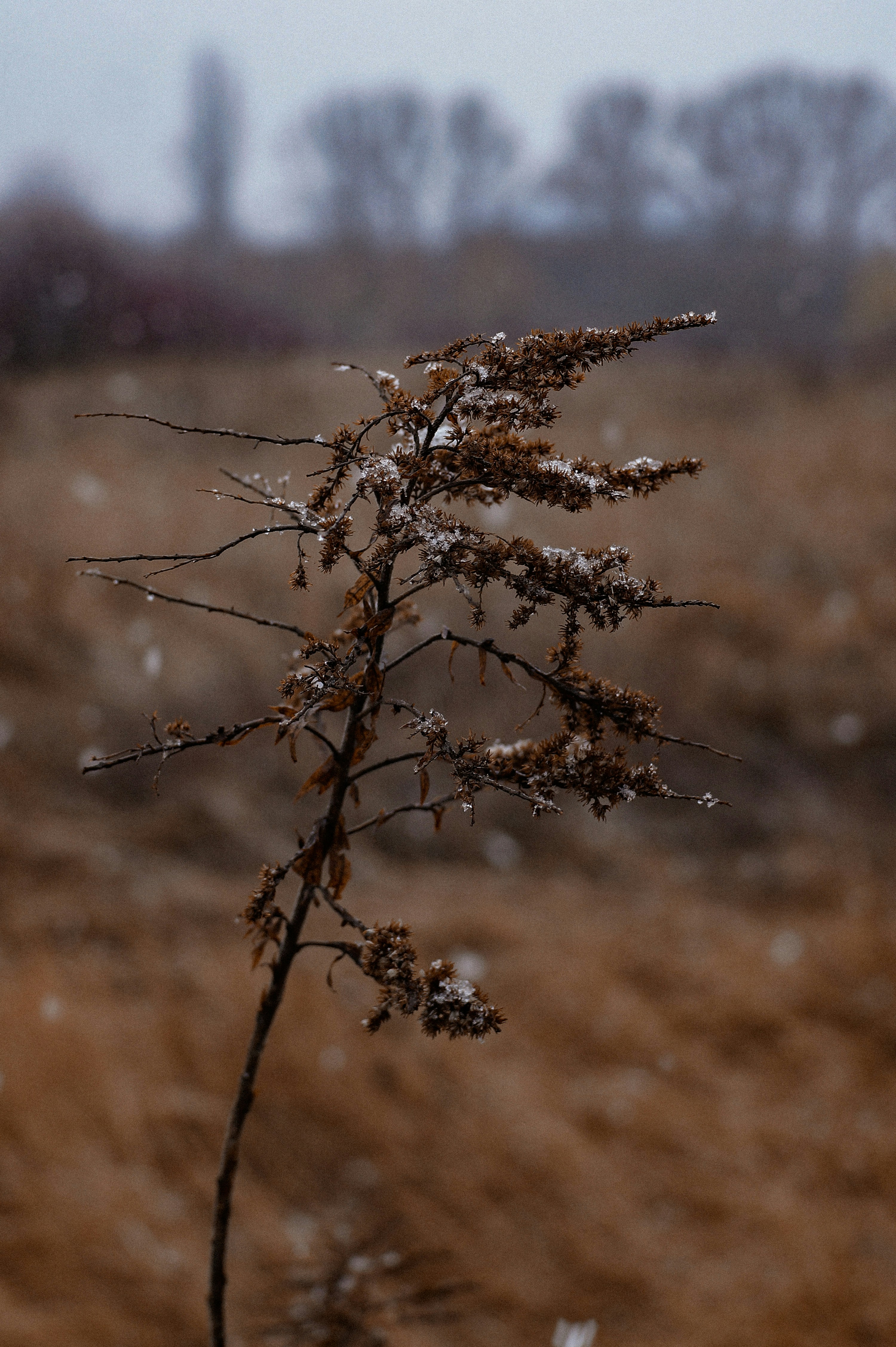 Photo by valentine_ivanova