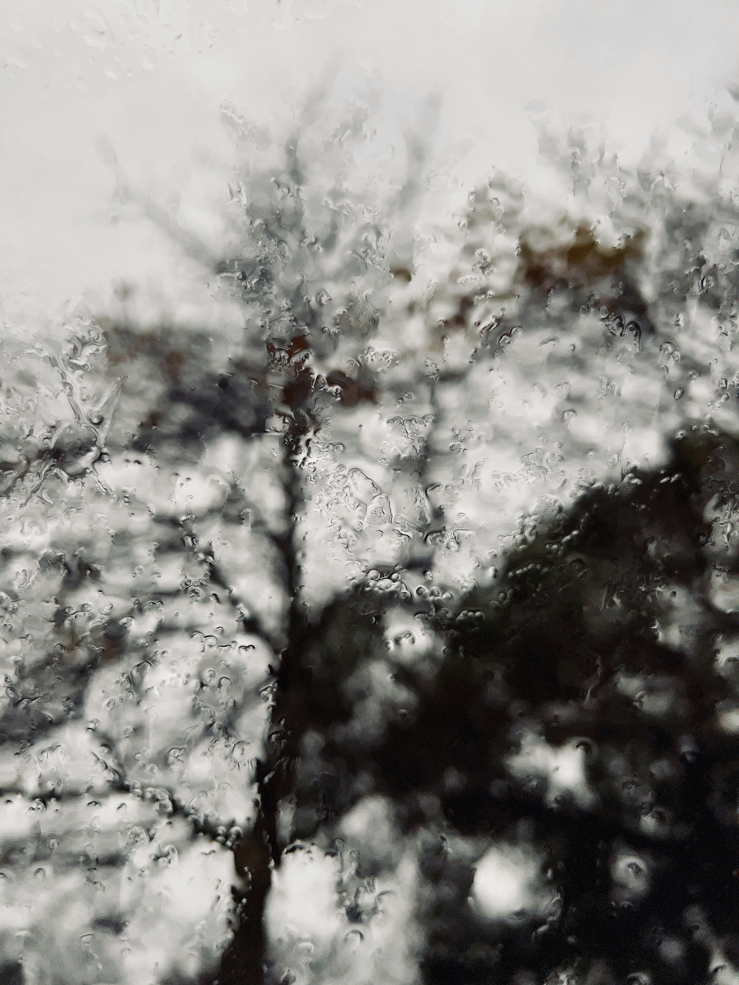 Photo by _nickwright_