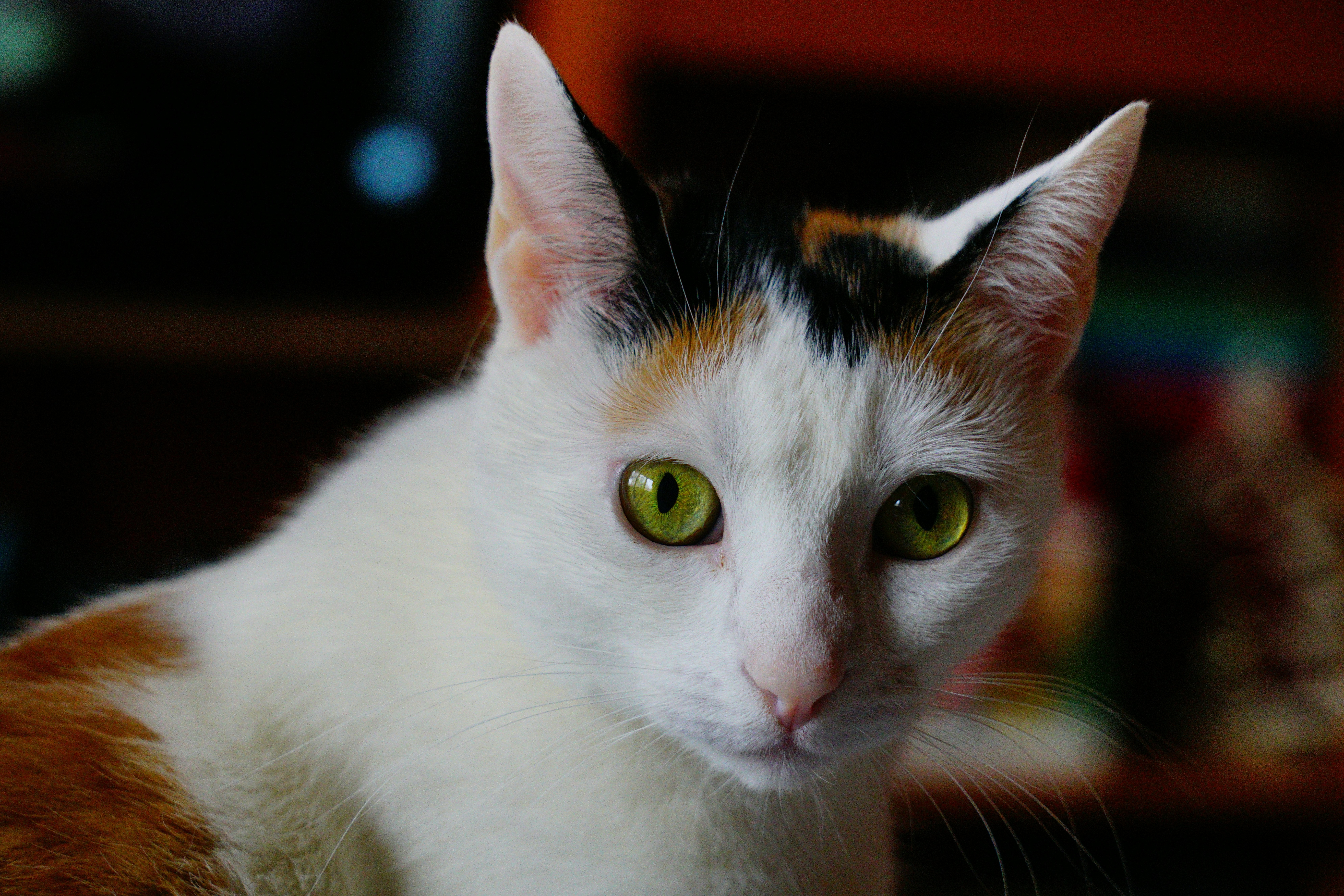 Photo by virgil953