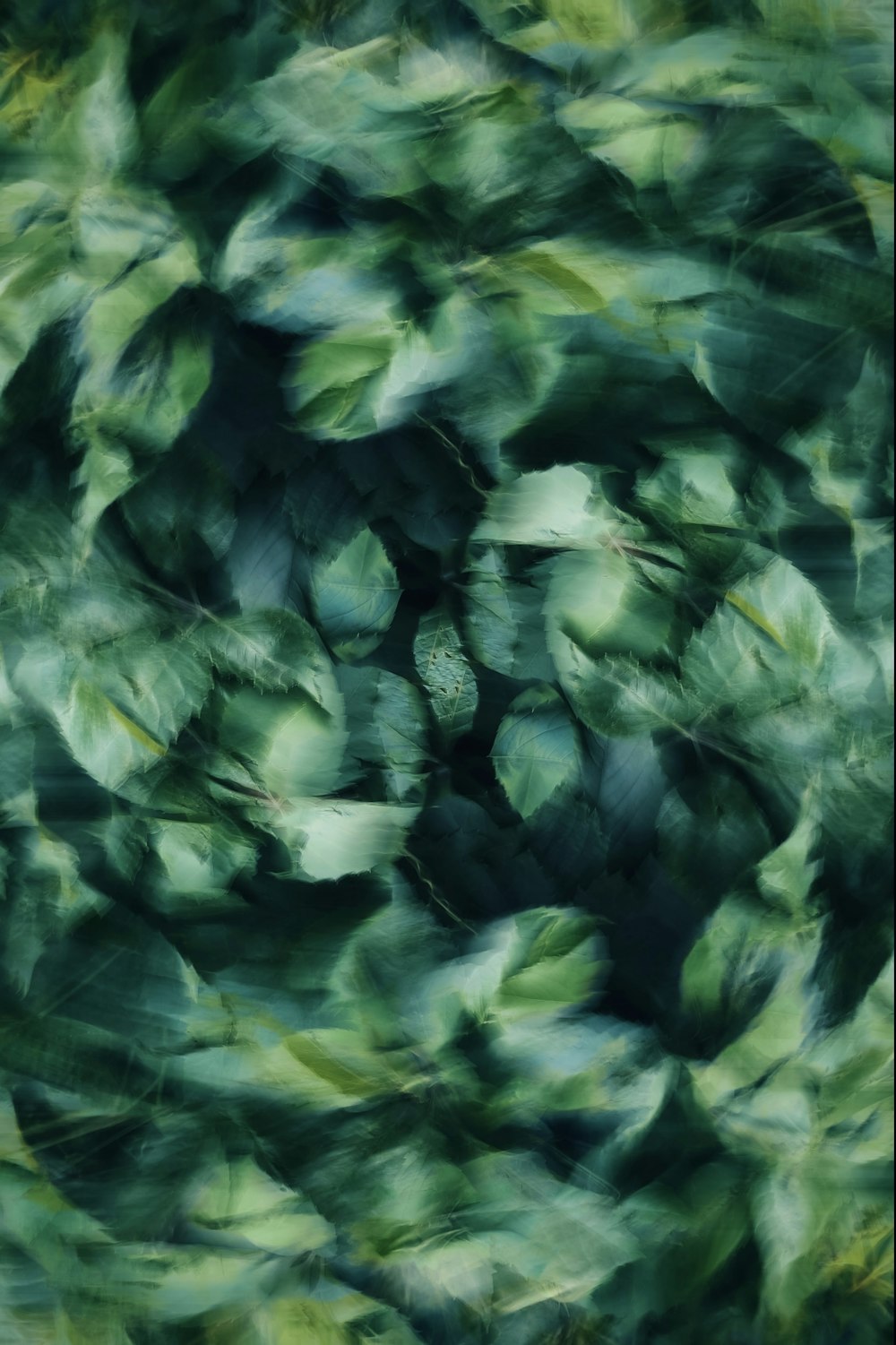 a blurry photo of leaves in the air