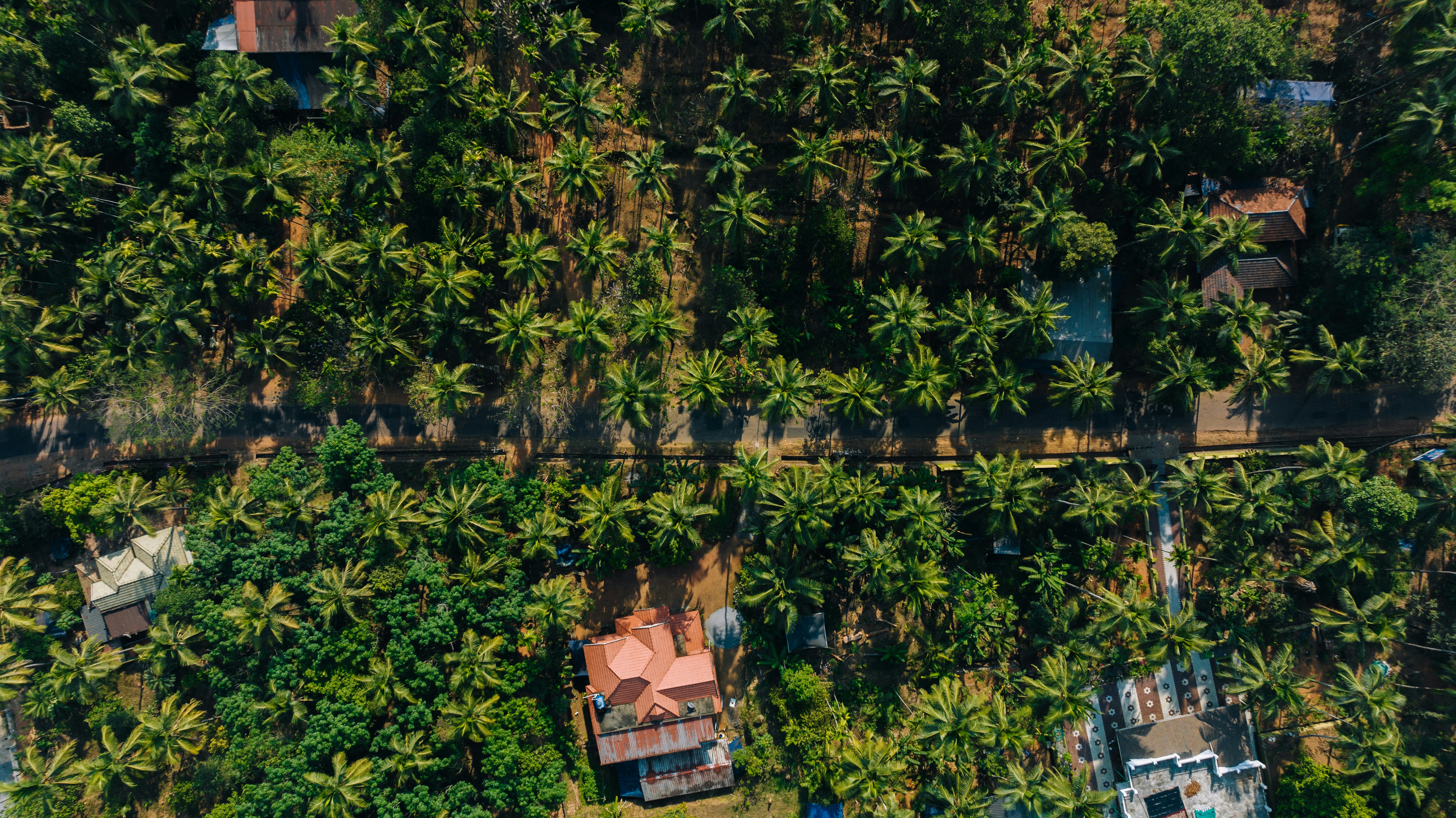 Photo by jeswinthomas