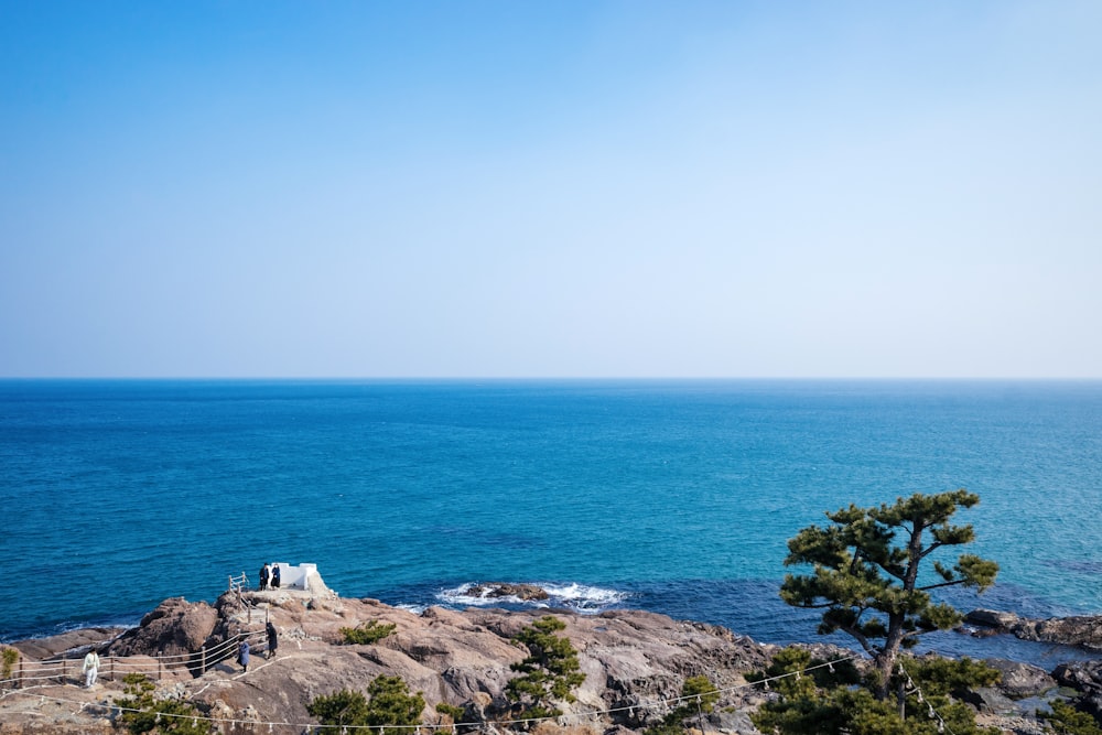 a couple of people standing on top of a cliff next to the ocean