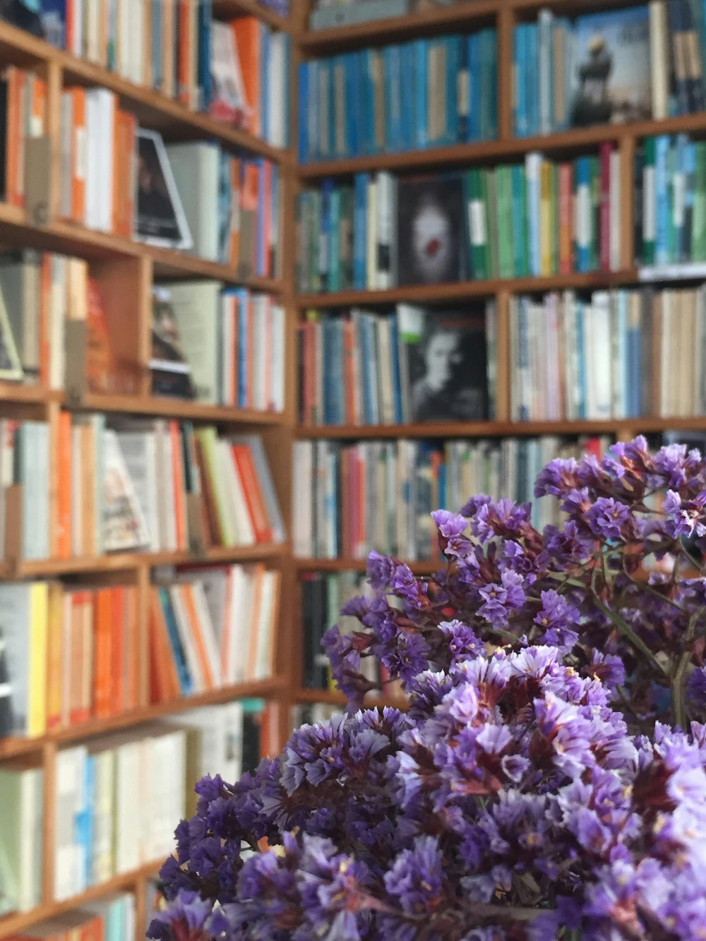 purple flowers in front of a bookshelf full of books
