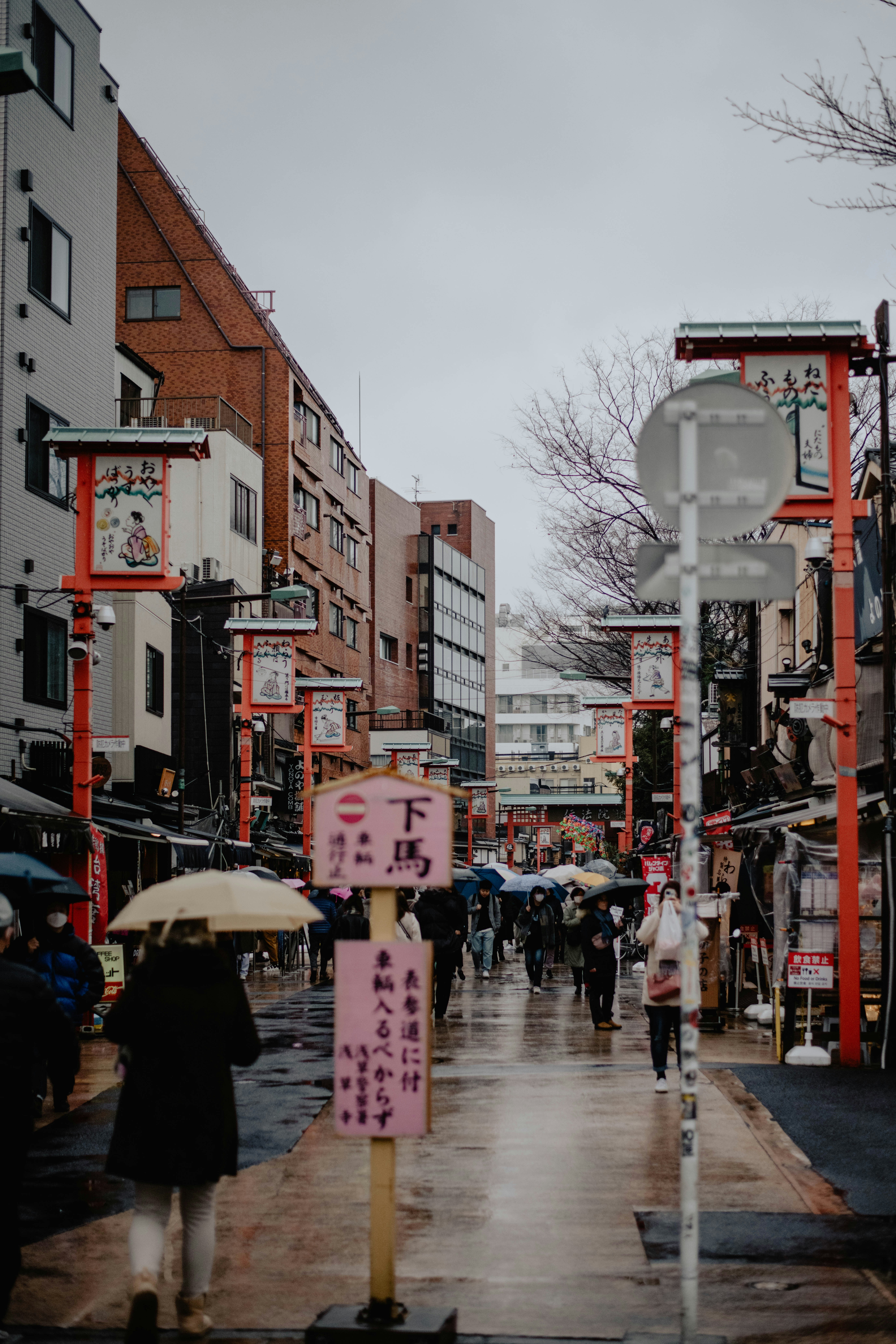 Photo by jamillatrach