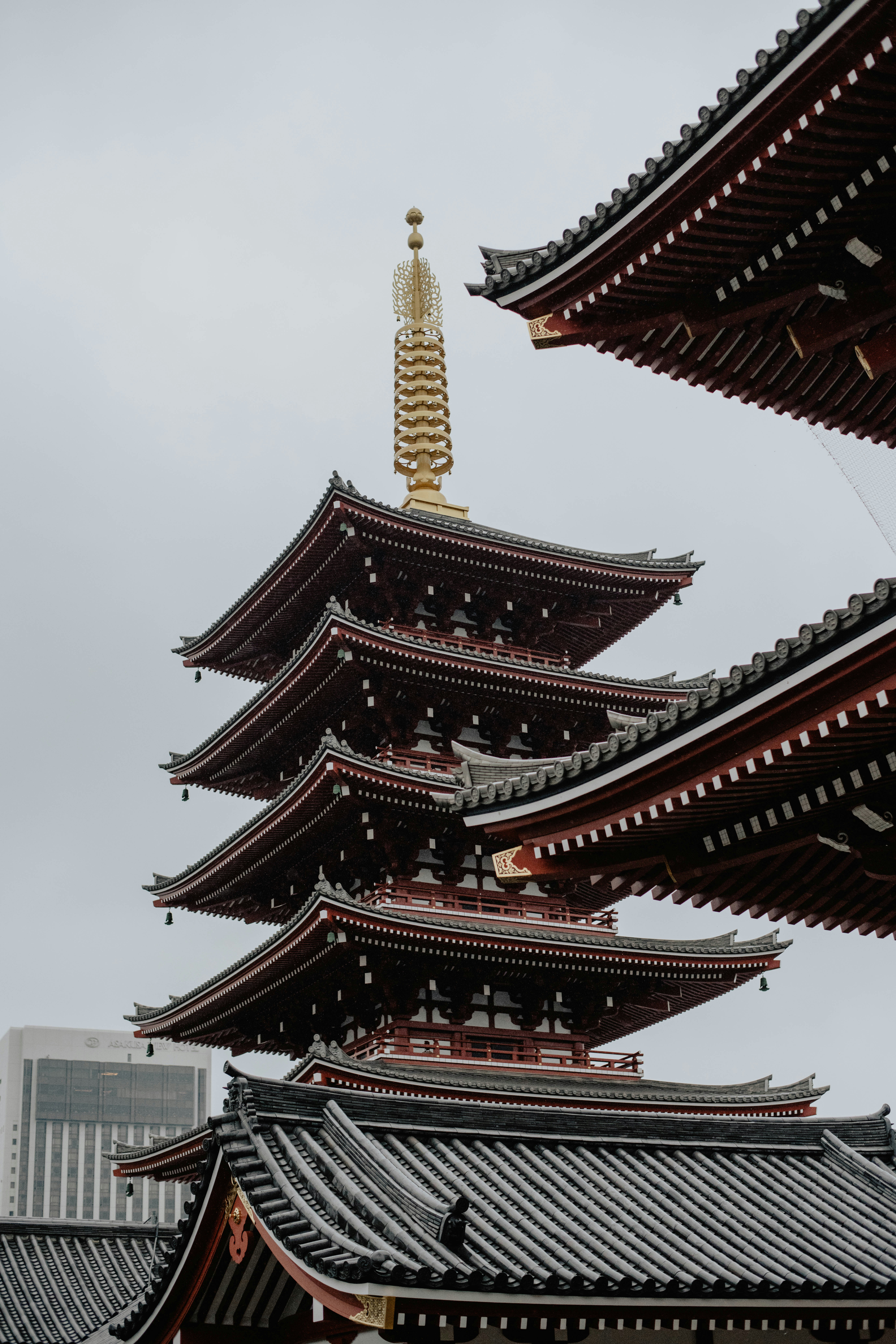 Photo by jamillatrach