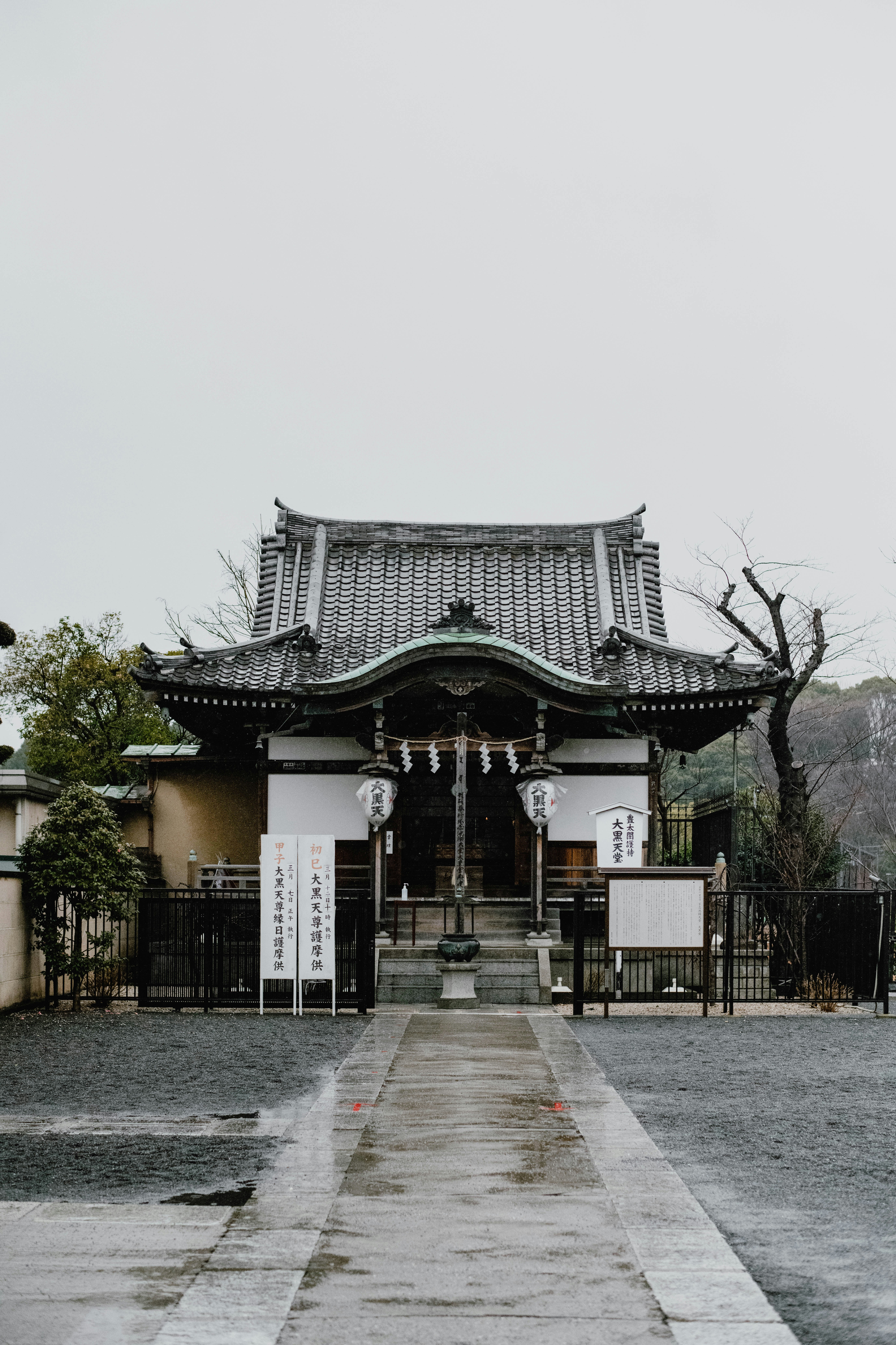 Photo by jamillatrach