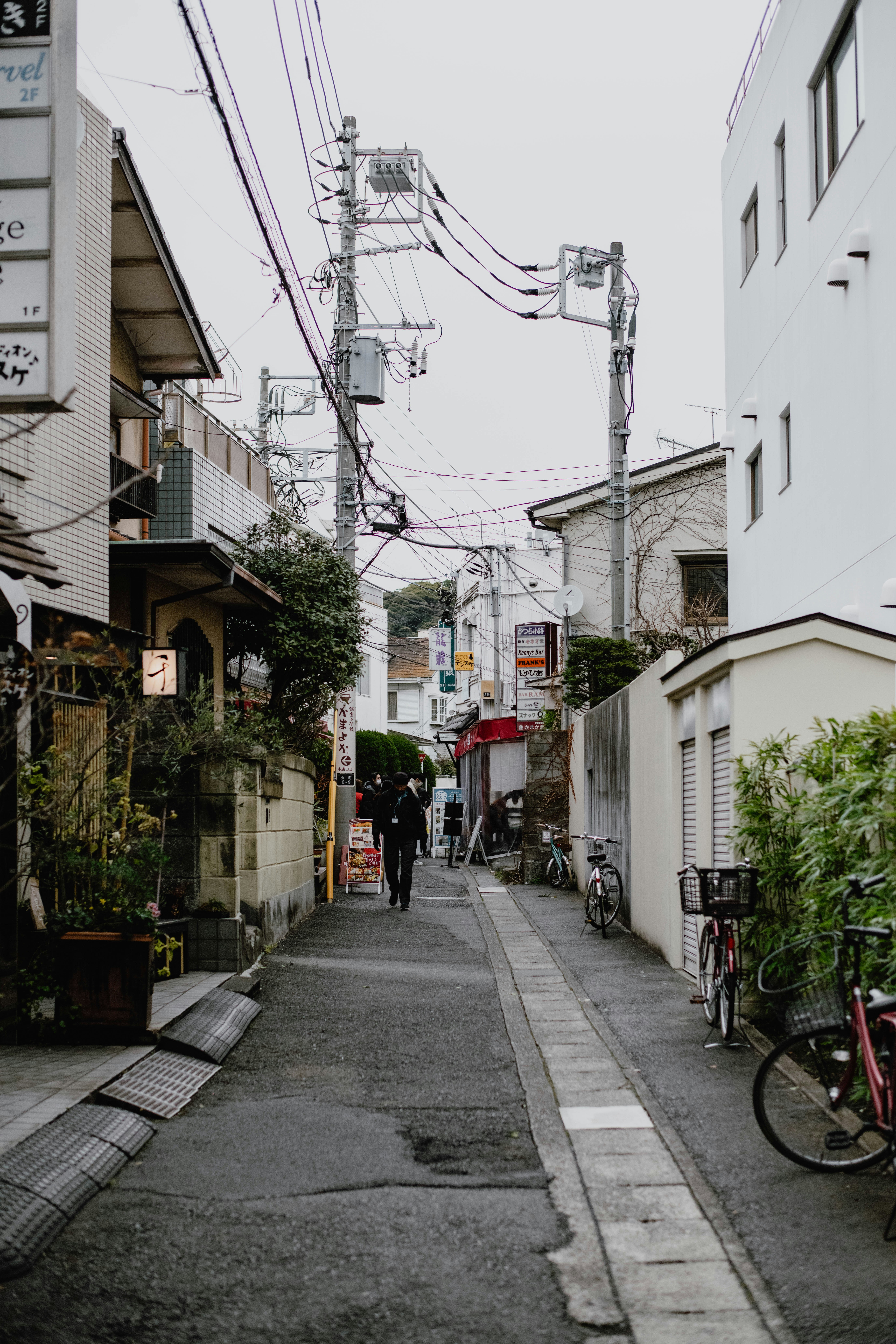 Photo by jamillatrach