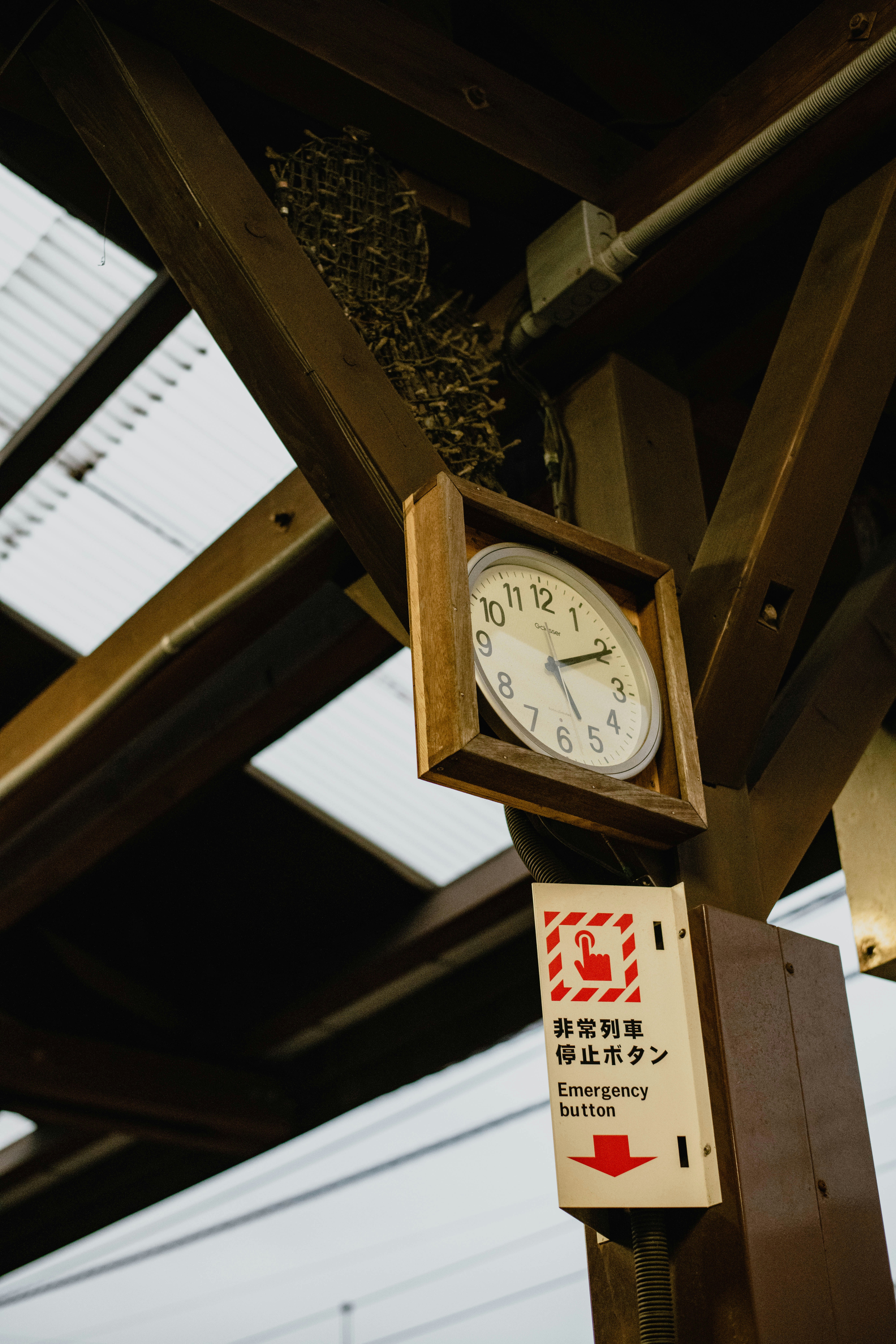 Photo by jamillatrach