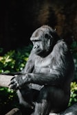 A gorilla sits pensively with its arms resting on a wooden beam, surrounded by greenery. The lighting highlights its muscular form and dark fur, creating a serene and contemplative atmosphere in a natural setting.