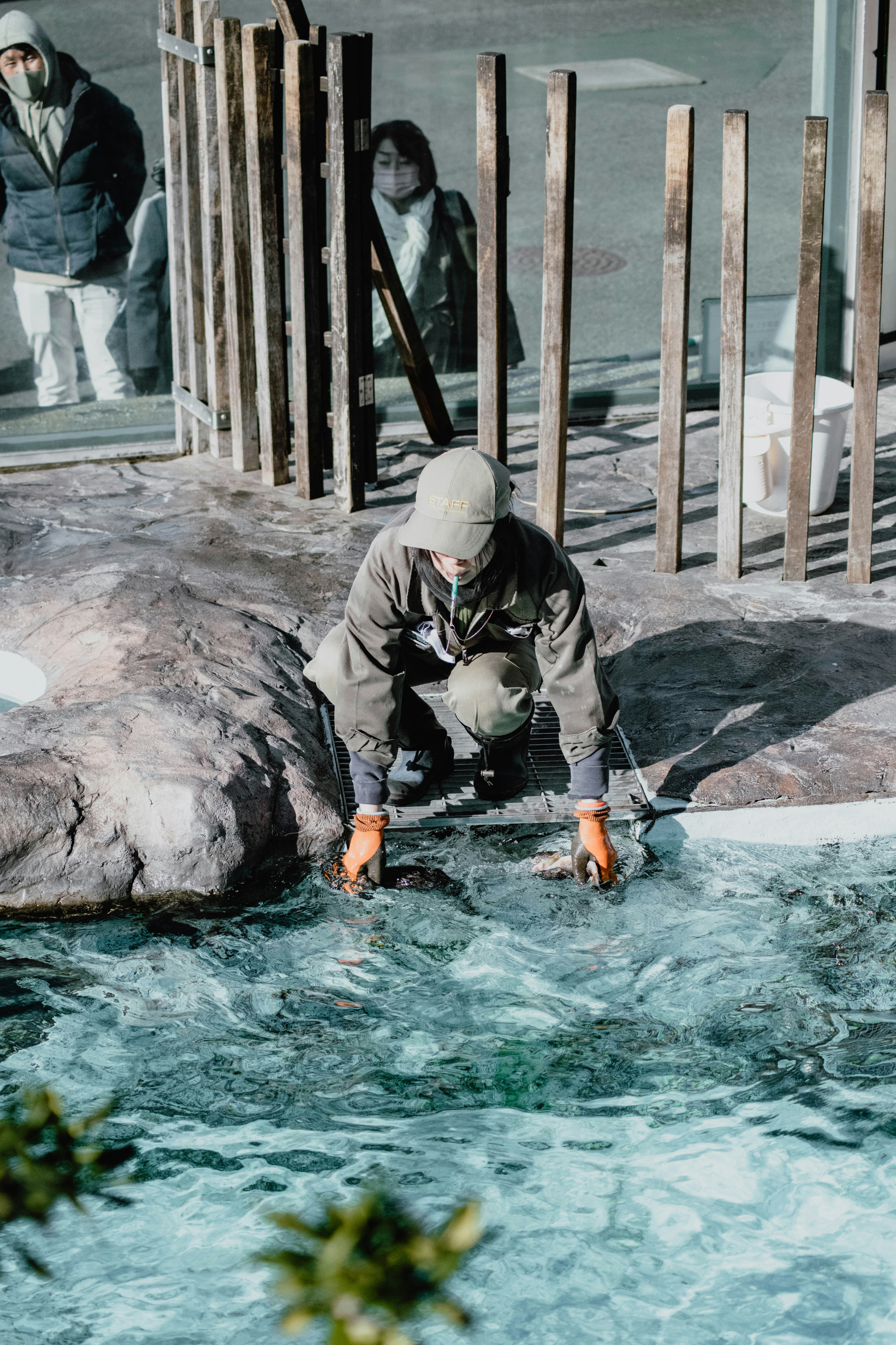 Bugün öğrendim ki: 1957'de Bronx Hayvanat...