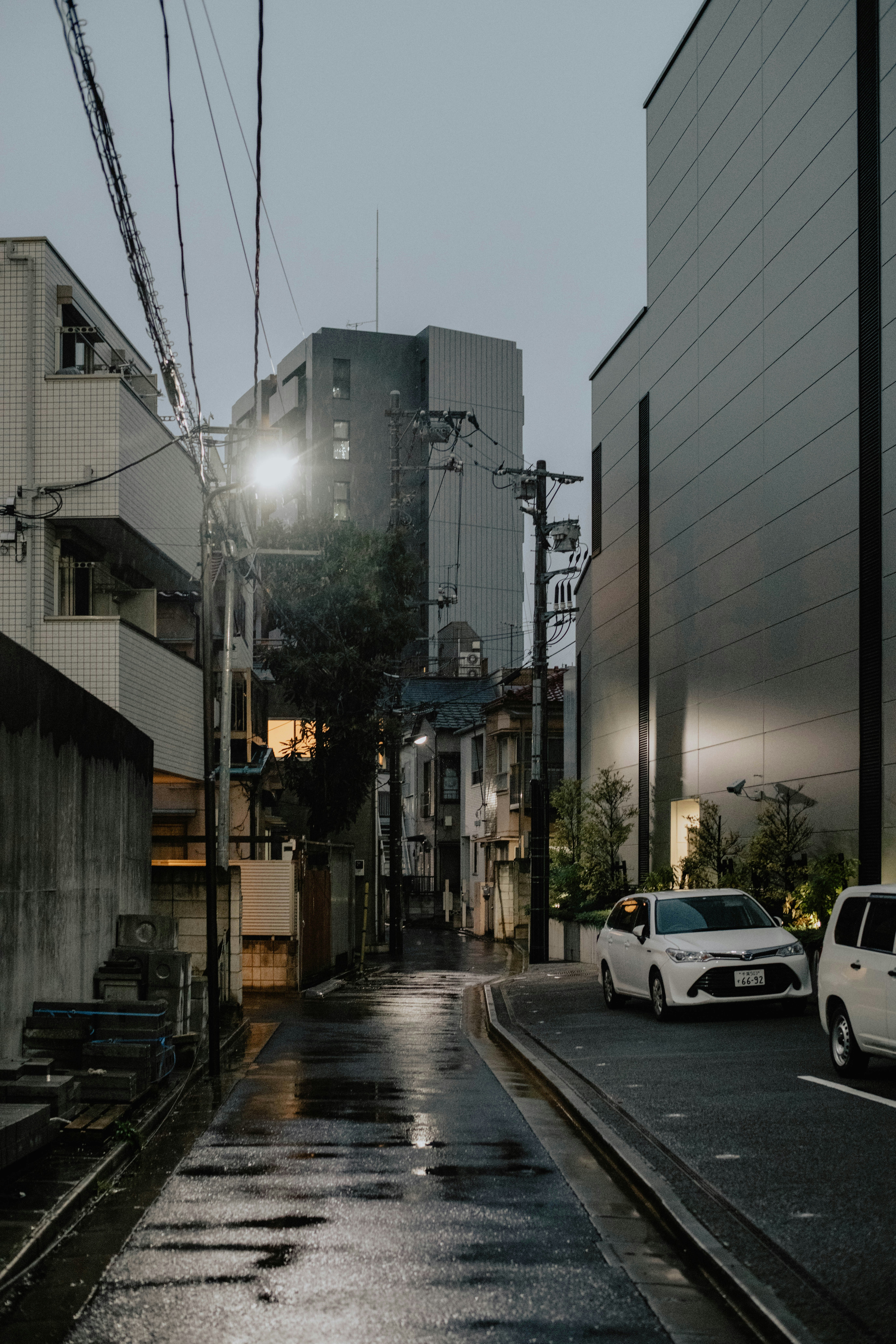 Photo by jamillatrach