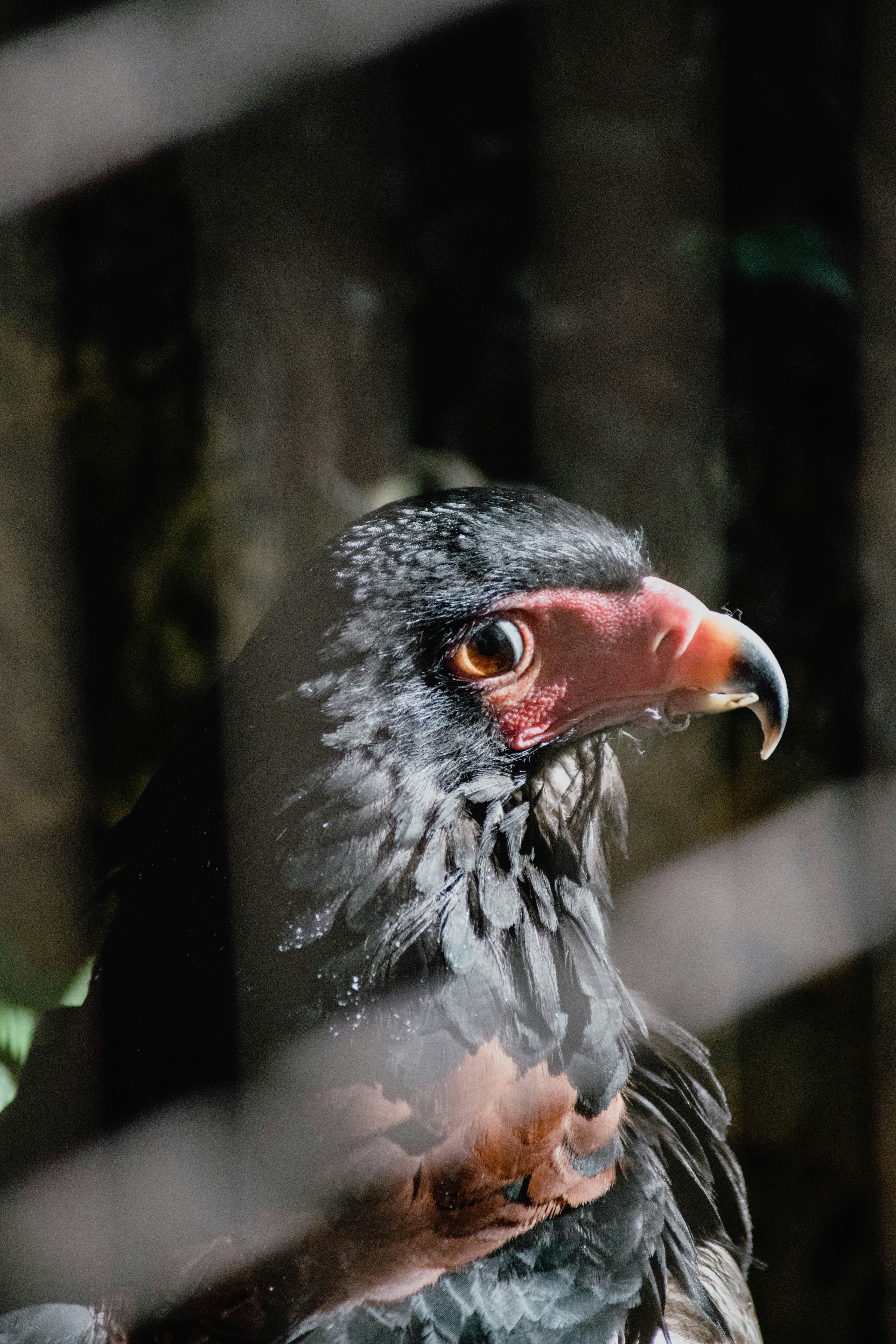 Photo by jamillatrach