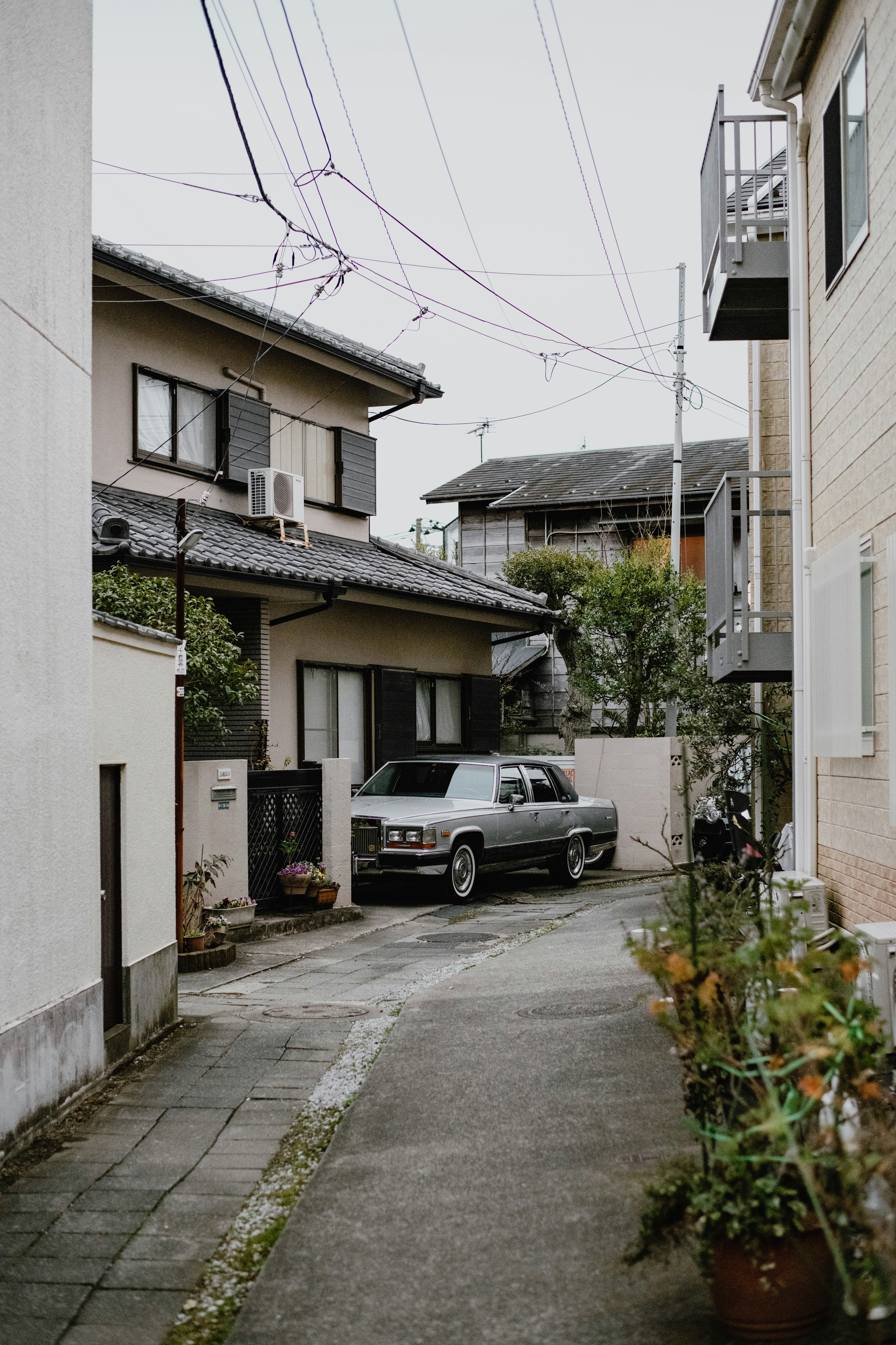 Photo by jamillatrach