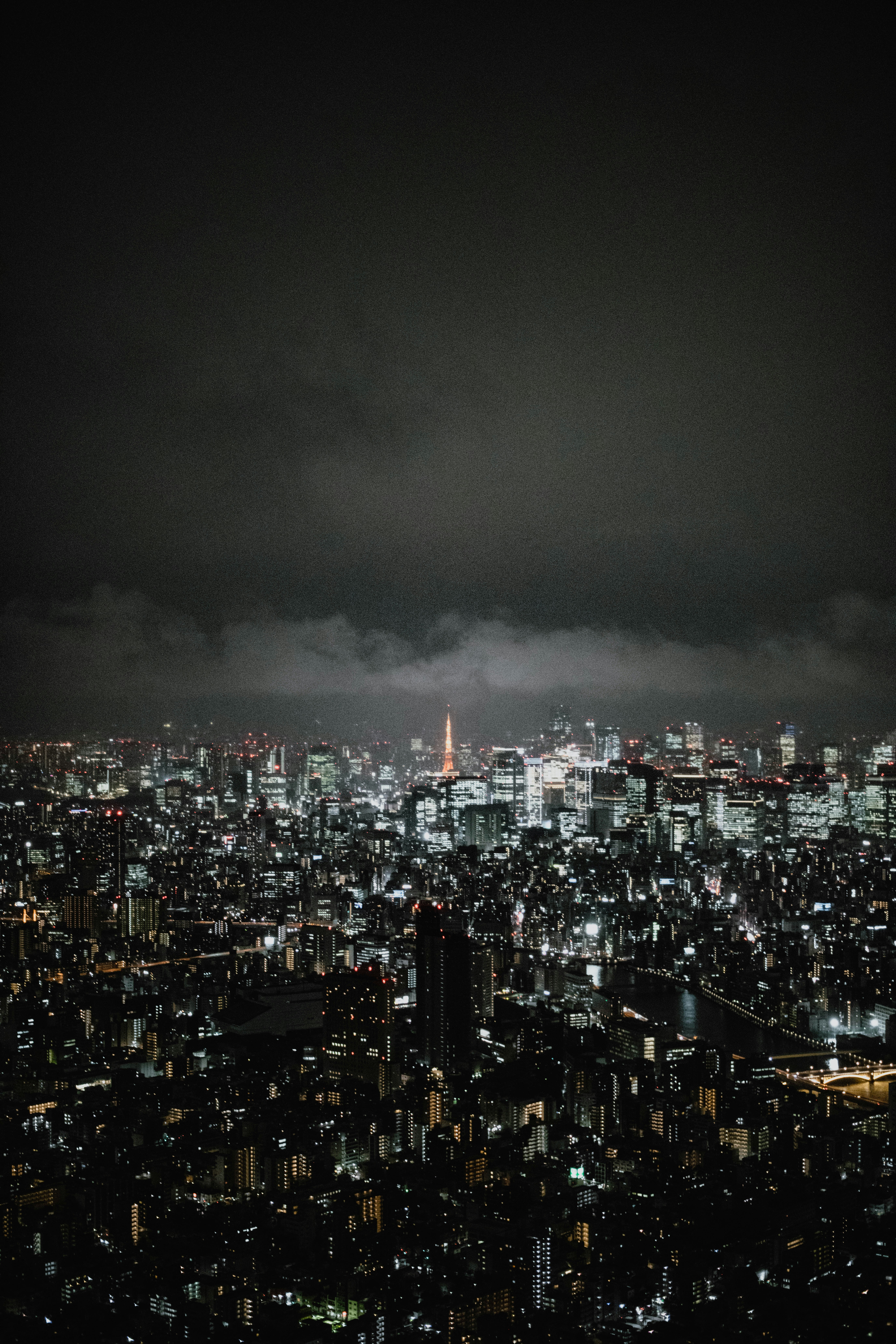 Photo by jamillatrach