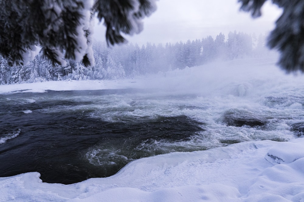 a body of water surrounded by snow covered trees