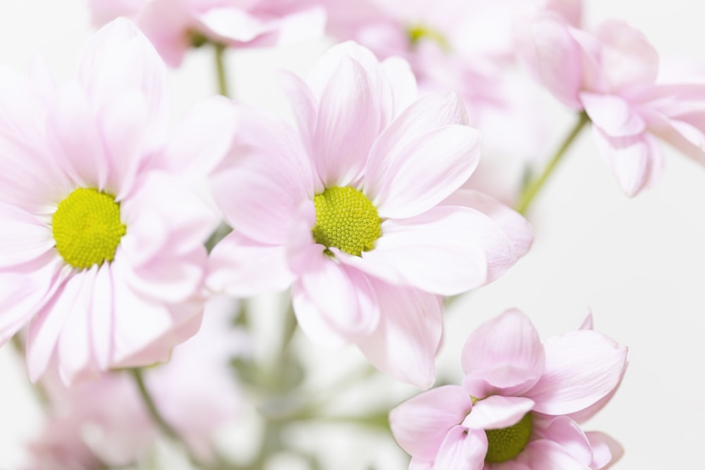 a vase filled with pink flowers on top of a table