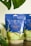 A package of 'Masala Blend' Indian Masala Chai tea on a wooden surface, surrounded by lush green leaves. The packaging is predominantly blue with intricate designs and text in gold and white, featuring an artistic landscape illustration at the bottom.