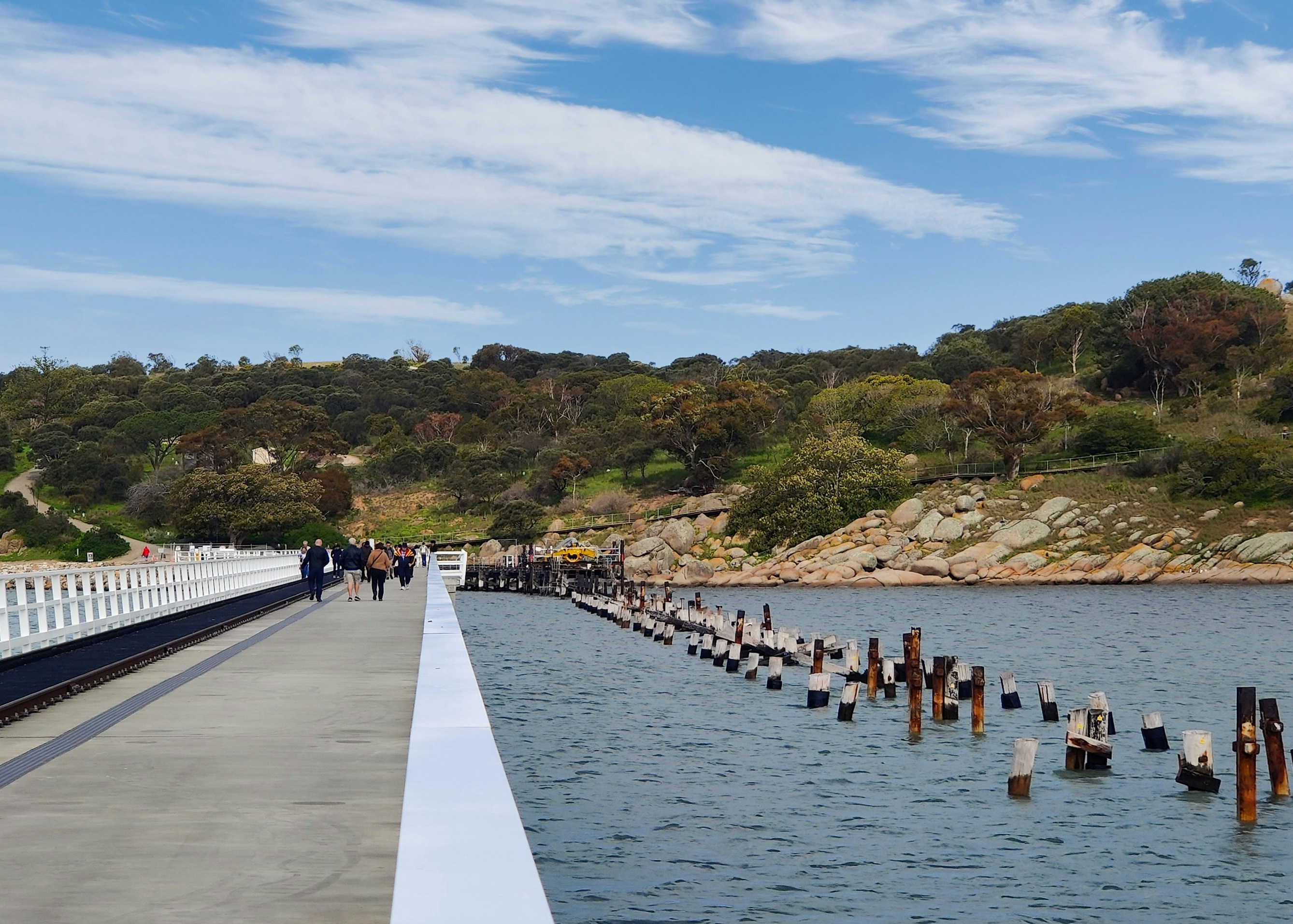 Williamstown Pool