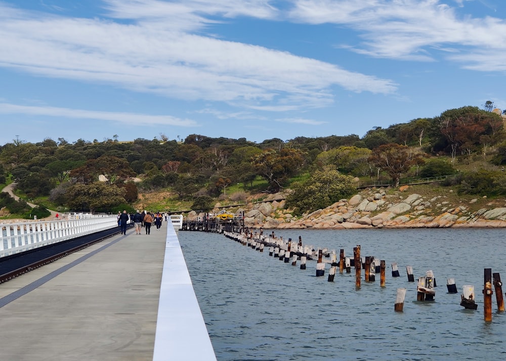 people walking along a pier next to a body of water