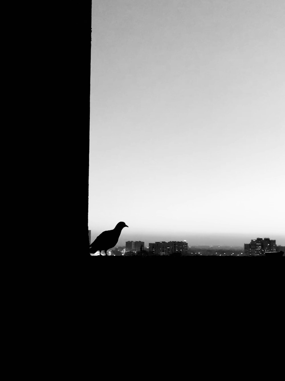 a black and white photo of a bird on a ledge